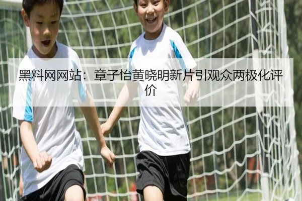 hei-liao-wang-wang-zhan-zhang-zi-yi-huang-xiao-ming-xin-pian-yin-guan-zhong-liang-ji-hua-ping-jia-2-267.jpg